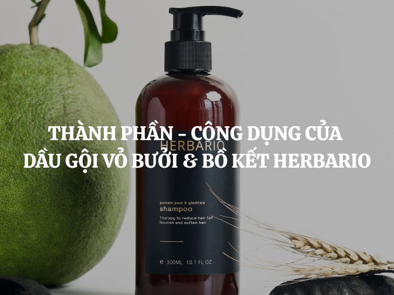 Giải mã thành phần - công dụng của Dầu gội vỏ bưởi & bồ kết Herbario