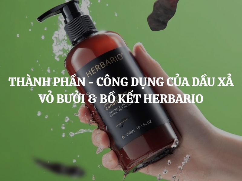 Giải mã thành phần - công dụng của Dầu xả vỏ bưởi & bồ kết Herbario
