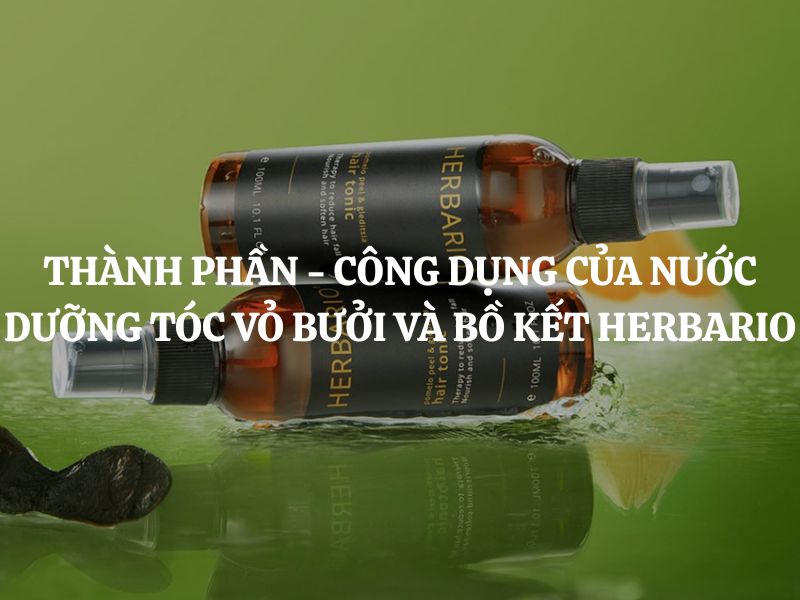 Giải mã thành phần - công dụng của Nước dưỡng tóc Vỏ Bưởi và Bồ Kết Herbario