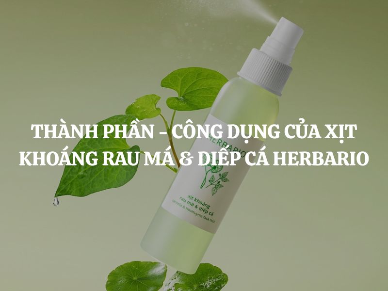 Giải mã thành phần - công dụng của Xịt khoáng rau má & diếp cá Herbario