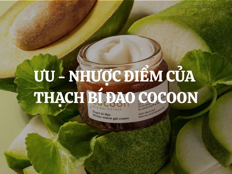 Giải mã Ưu - Nhược điểm của Thạch bí đao Cocoon: Bí quyết phục hồi da dầu mụn an toàn