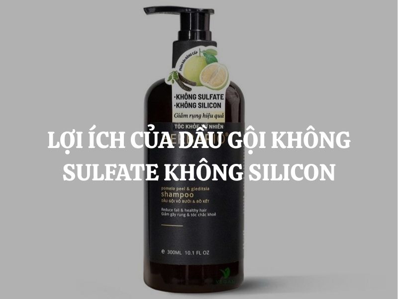 Lợi ích của dầu gội không sulfate không silicon là gì? Phân tích cụ thể, chi tiết