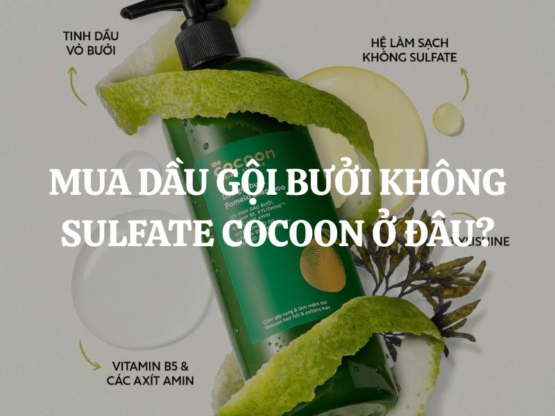Mua dầu gội bưởi không sulfate Cocoon ở đâu chính hãng, uy tín, giá tốt?