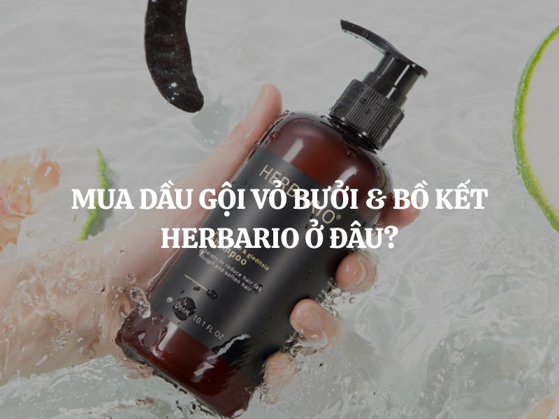 Mua Dầu gội vỏ bưởi & bồ kết Herbario ở đâu chính hãng, giá tốt?