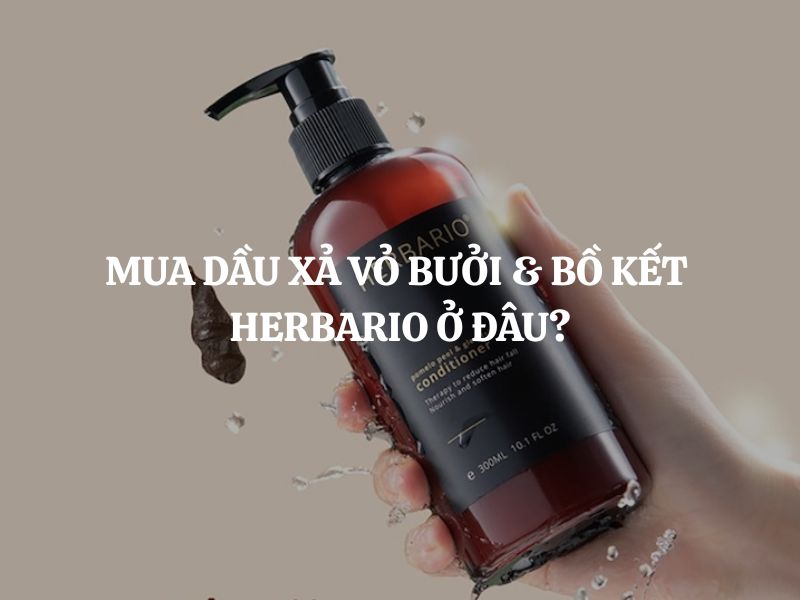 Mua Dầu xả vỏ bưởi & bồ kết Herbario ở đâu chính hãng, uy tín, giá tốt?