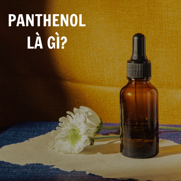 Panthenol là gì, có thể kết hợp với thành phần nào? Nồng độ và tác dụng của Panthenol trong mỹ phẩm