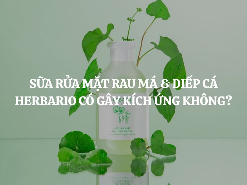 Sữa rửa mặt rau má & diếp cá Herbario có gây kích ứng không? Da mụn dùng được không?