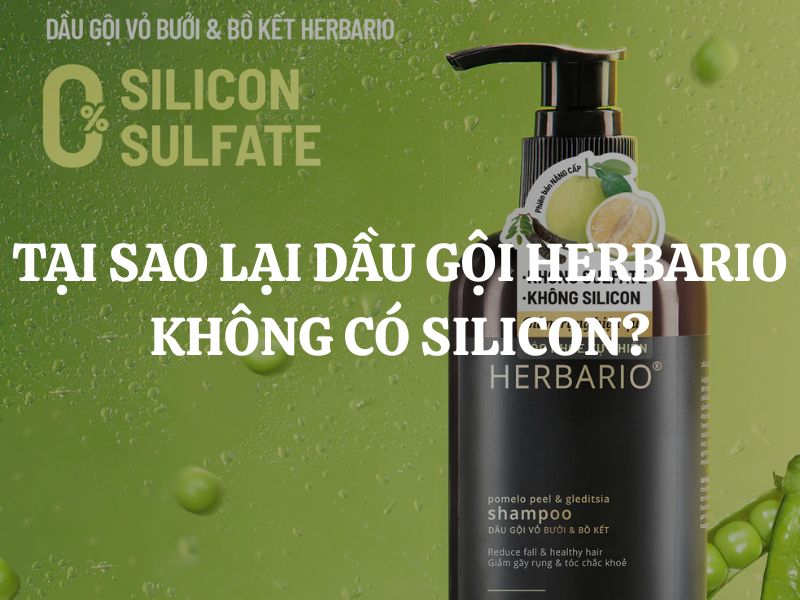 Tại sao lại dầu gội Herbario không có Silicon và vẫn mượt tóc?