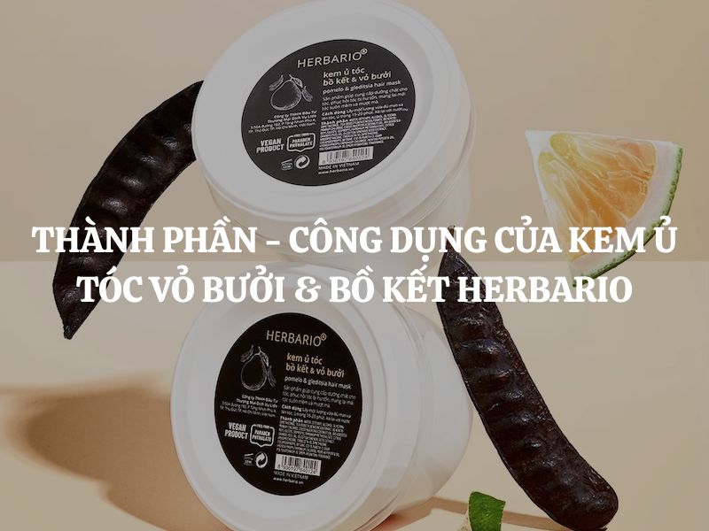 Thành phần - công dụng của Kem ủ tóc vỏ bưởi & bồ kết Herbario