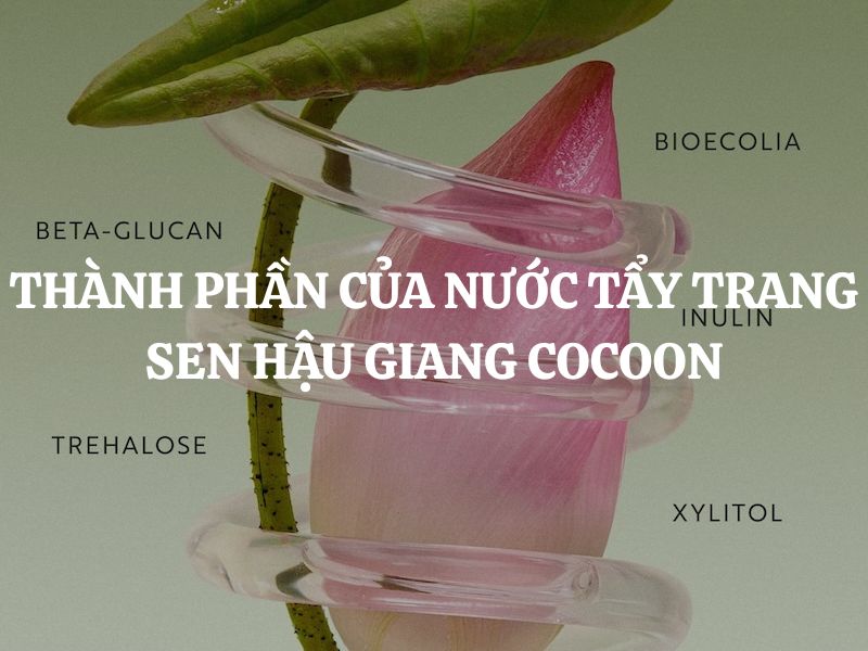 Thành phần của Nước tẩy trang sen Hậu Giang Cocoon - Bí quyết cho làn da sạch sâu, dịu êm