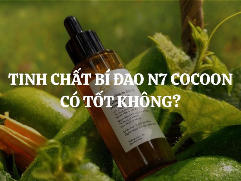 Tinh chất bí đao N7 Cocoon có tốt không? Nên mua không? Tinh chất bí đao N7 Cocoon có tốt không? Nên mua không?
