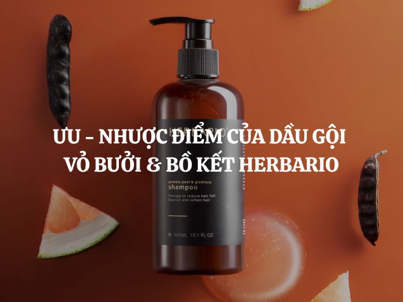Ưu - Nhược điểm của Dầu gội vỏ bưởi & bồ kết Herbario: Phân tích chi tiết